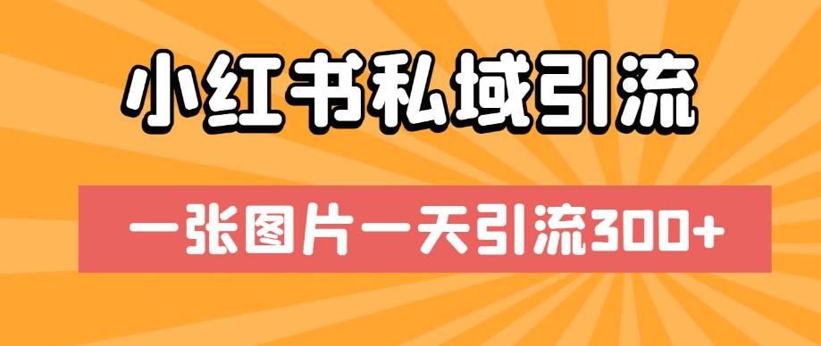 小红书私域引流，一张图片一天引流300+【揭秘】-逐浪前行