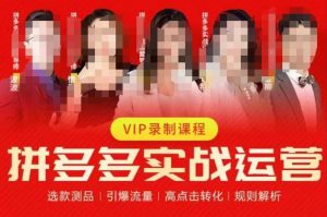 2023推易拼多多实战运营,选款测品、引爆流量、高点击转化、规则解析-逐浪前行