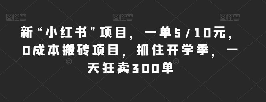新“小红书”项目，一单5/10元，0成本搬砖项目，抓住开学季，一天狂卖300单【揭秘】-逐浪前行