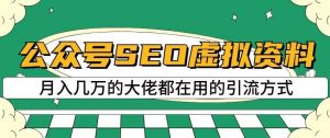 公众号SEO虚拟资料,操作简单,日入500+,可批量操作【揭秘】-逐浪前行