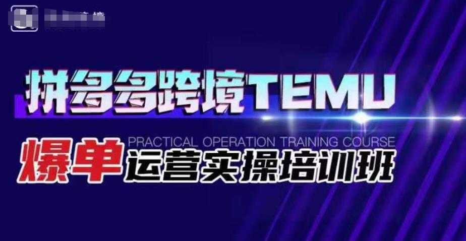 拼多多跨境TEMU爆单运营实操培训班，海外拼多多的选品、运营、爆单-逐浪前行