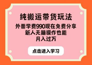 纯搬运带货玩法，外面学费990现在免费分享，新人无脑操作也能月入过万【揭秘】-逐浪前行