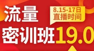 秋秋线上流量密训班19.0,打通流量关卡,线上也能实战流量破局-逐浪前行