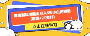靠短剧私域掘金月入5W小白闭眼做(教程+2T资料)-逐浪前行