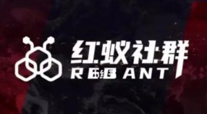 社群运营:红蚁社群【48节落地系统课程+2000人高端社群】-逐浪前行