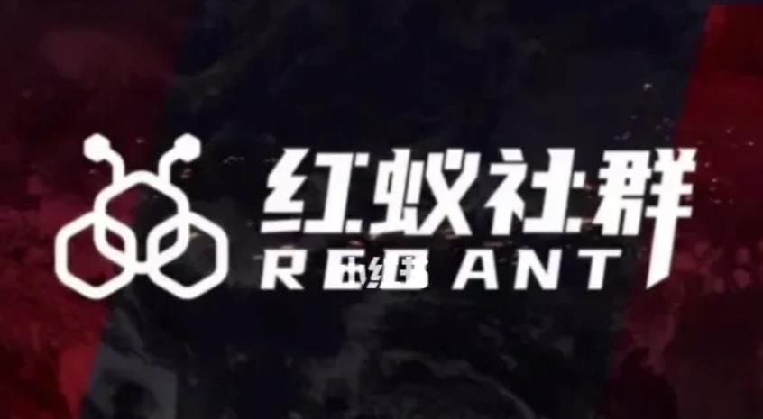 社群运营：红蚁社群【48节落地系统课程+2000人高端社群】-逐浪前行