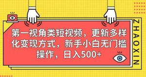 第一视角类短视频,更新多样化变现方式,新手小白无门槛操作,日入500+【揭秘】-逐浪前行