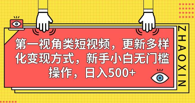 第一视角类短视频，更新多样化变现方式，新手小白无门槛操作，日入500+【揭秘】-逐浪前行