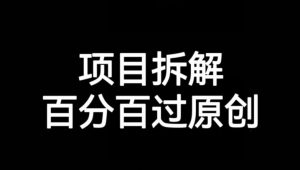项目拆解赛道百分百过原创【揭秘】-逐浪前行
