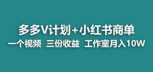 【蓝海项目】多多v计划+小红书商单一个视频三份收益工作室月入10w-逐浪前行