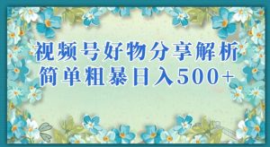 视频号好物分享解析,简单粗暴可以批量方大的项目【揭秘】-逐浪前行
