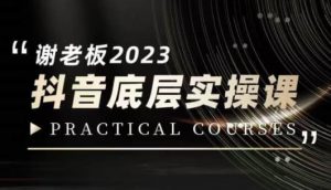 蟹老板·2023抖音底层实操课,打造短视频的底层认知-逐浪前行