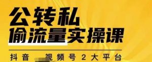 群响公转私偷流量实操课,致力于拥有更多自持,持续,稳定,精准的私域流量!-逐浪前行