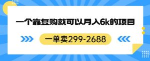 一单卖299-2688,一个靠复购就可以月入6k的暴利项目【揭秘】-逐浪前行