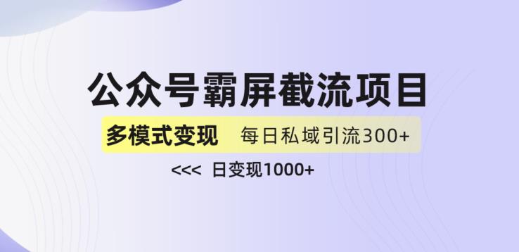 公众号霸屏截流项目+私域多渠道变现玩法，全网首发，日入1000+【揭秘】-逐浪前行