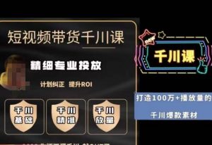 短视频带货-千川专业投放课,精细化专业投放,计划纠正,提升ROI-逐浪前行