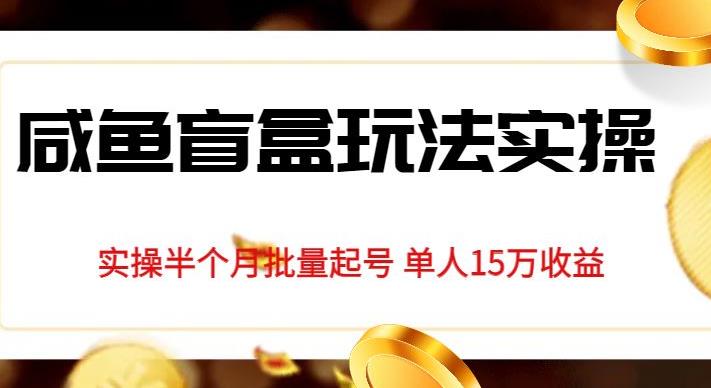 独家首发咸鱼盲盒玩法实操，半个月批量起号单人15万收益【揭秘】-逐浪前行