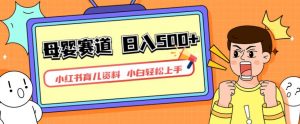 小红书育儿资料,一部手机可操作,多种变现方式,日入500+,私域变现,长期可持续项目【揭秘】-逐浪前行