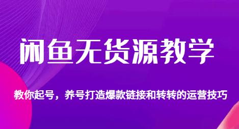 闲鱼无货源教学，教你起号，养号打造爆款链接以及转转的运营技巧-逐浪前行