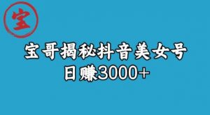 宝哥揭秘抖音美女号玩法,日赚3000+【揭秘】-逐浪前行