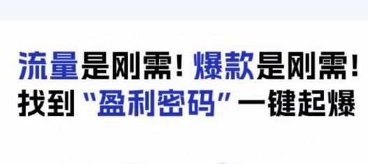 电商盈利精品课：6大盈利密码让产品更好卖，流量是刚需！爆款是刚需！找到”盈利密码”一键起爆-逐浪前行