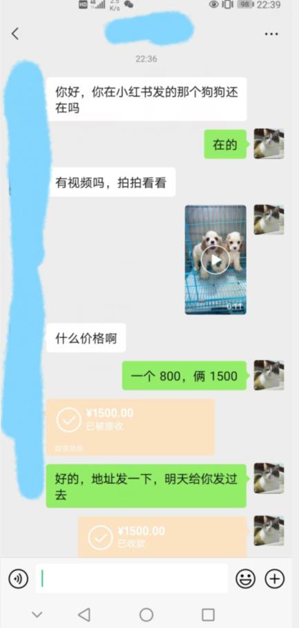 外边收费3980的同城萌宠项目，用最冷门的玩法冲击最热门的市场【揭秘】-逐浪前行