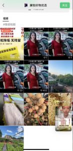 外面收费198的最新视频号连怼技术，条条原创，条条爆单【揭秘】-逐浪前行