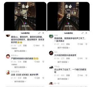 副业拆解:抖音杰伦音乐号涨粉变现项目,视频版一条龙实操玩法分享给你-逐浪前行