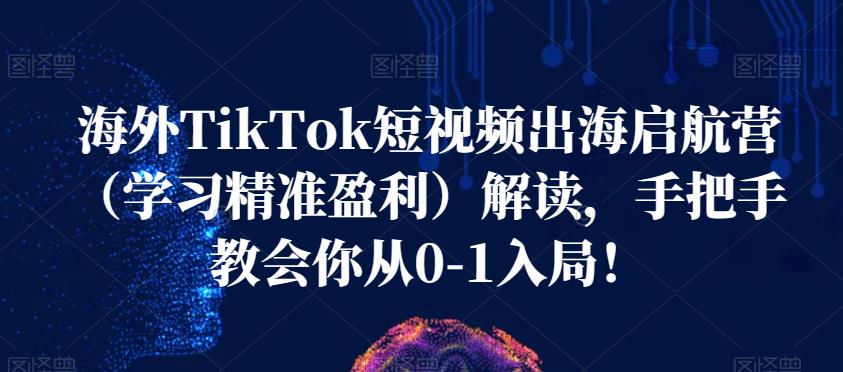海外TikTok短视频出海启航营（学习精准盈利）解读，手把手教会你从0-1入局！-逐浪前行