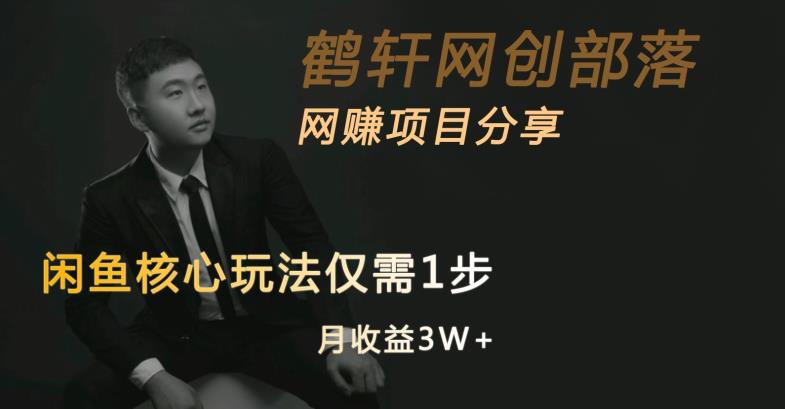 闲鱼核心玩法不卖货也能1年变现20W，玩法简单-逐浪前行