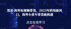 黑冰·海外短视频带货,2023年跨境新风口,海外小黄车带货新机遇-逐浪前行