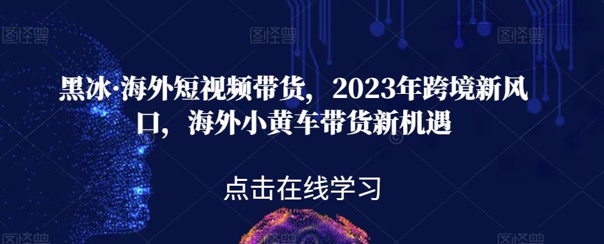 黑冰·海外短视频带货，2023年跨境新风口，海外小黄车带货新机遇-逐浪前行