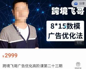 跨境飞哥·广告优化高阶课第二十三期,8*15数模广告优化法,用数据驱动决策-逐浪前行