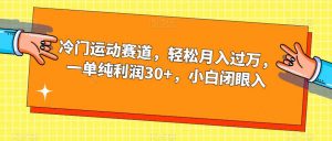冷门运动赛道,轻松月入过万,一单纯利润30+,小白闭眼入【揭秘】-逐浪前行