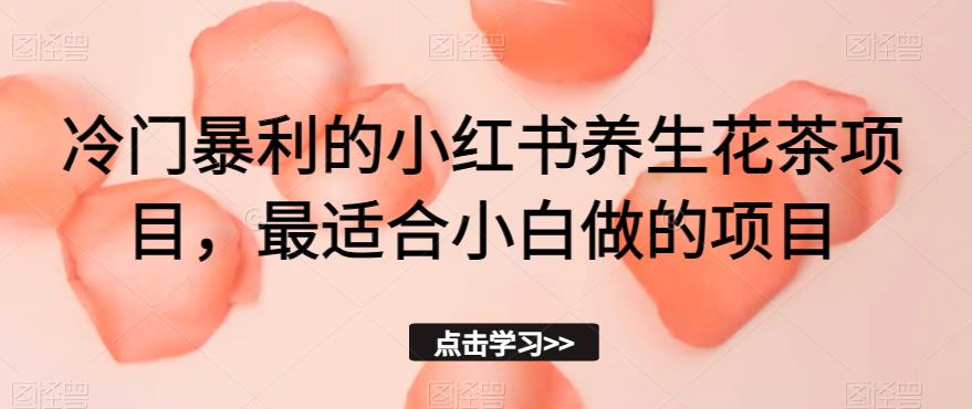 冷门暴利的小红书养生花茶项目，最适合小白做的项目【揭秘】-逐浪前行
