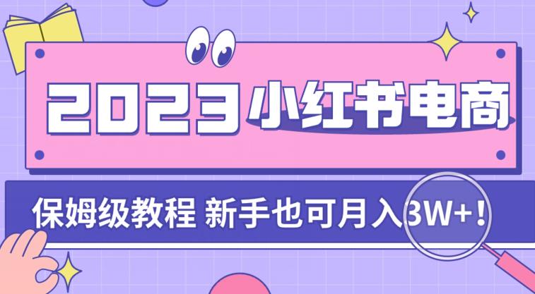 阿本小红书电商陪跑营4.0，带大家从0到1把小红书做起来-逐浪前行
