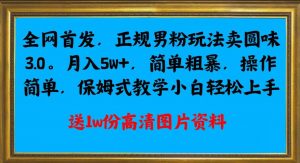全网首发正规男粉玩法卖圆味3.0,月入5W+,简单粗暴,操作简单,保姆式教学,小白轻松上手-逐浪前行
