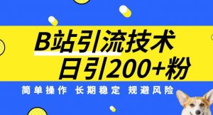 B站引流技术:每天引流200精准粉,简单操作,长期稳定,规避风险-逐浪前行