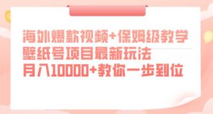 海外爆款视频+保姆级教学,壁纸号项目最新玩法,月入10000+教你一步到位【揭秘】-逐浪前行