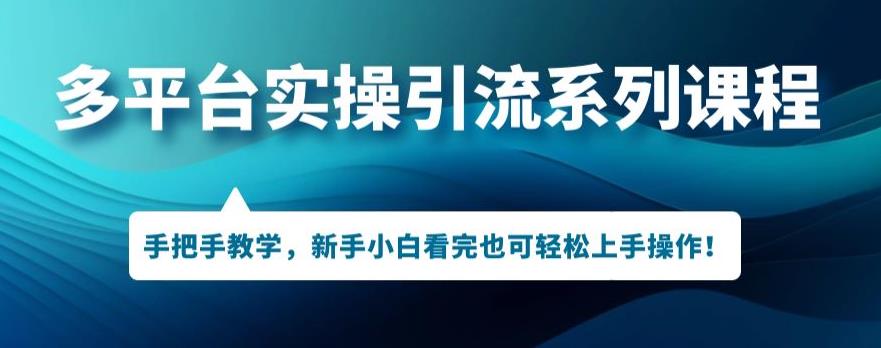 多平台引流实操系列课程，新手小白看完也可轻松上手进行引流操作-逐浪前行