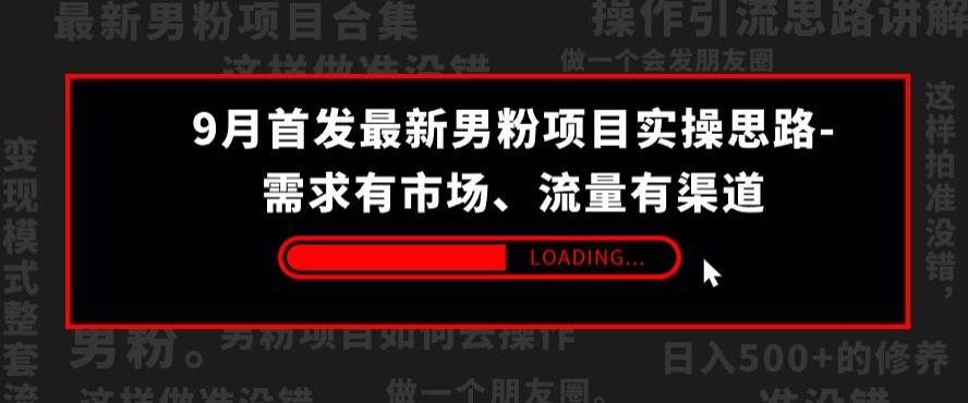 9月首发最新男粉项目实操思路-需求有市场，流量有渠道【揭秘】-逐浪前行
