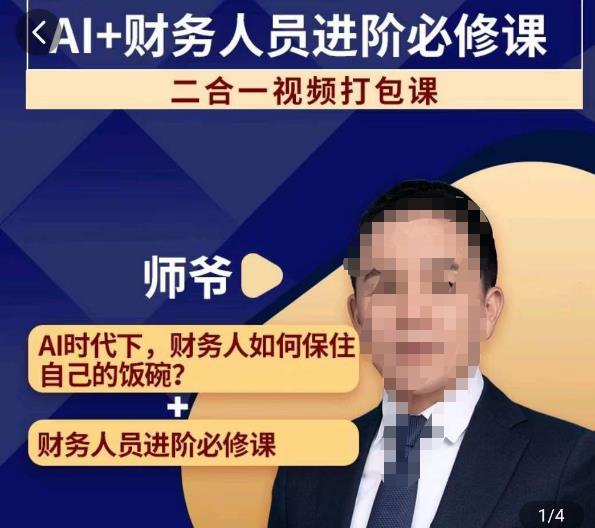 AI+财务人员进阶必修课二合一视频打包课，财务人员进阶必修课-逐浪前行