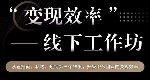 变现效率线下工作坊，从‮播直‬间、私域、‮视短‬频‮个三‬维度，升级IP和团队变现效率-逐浪前行