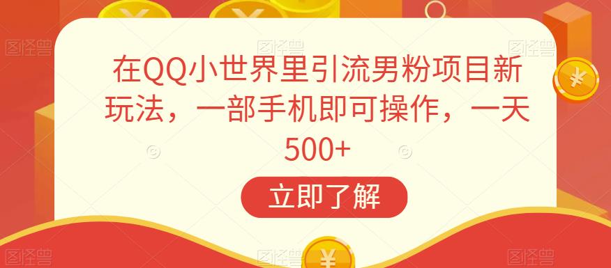 在QQ小世界里引流男粉项目新玩法，一部手机即可操作，一天500+【揭秘】-逐浪前行