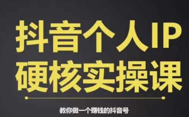 个人IP创富系统实战课，商业定位，流量打造，短视频变现，教你做个赚钱的抖音号-逐浪前行