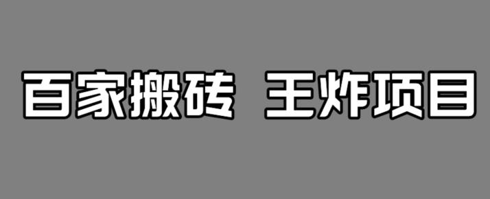 百家最新搬运玩法，单号月入5000+【揭秘】-逐浪前行
