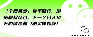 【全网首发】有手就行,微信爆粉项目,下一个月入10万的就是你(附实操视频)【揭秘】-逐浪前行