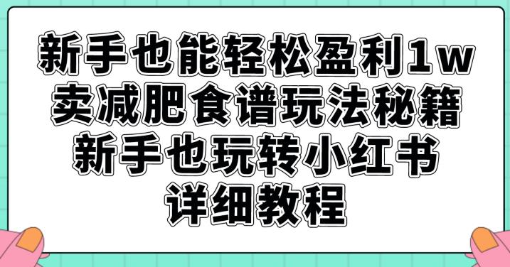 新手也能轻松盈利1w，卖减肥食谱玩法秘籍，新手也玩转小红书详细教程【揭秘】-逐浪前行