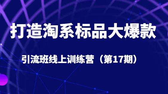 打造淘系标品大爆款引流班线上训练营（第17期）5天直播授课-逐浪前行