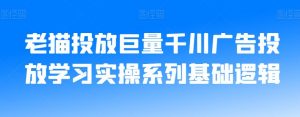 老猫投放巨量千川广告投放学习实操系列基础逻辑-逐浪前行